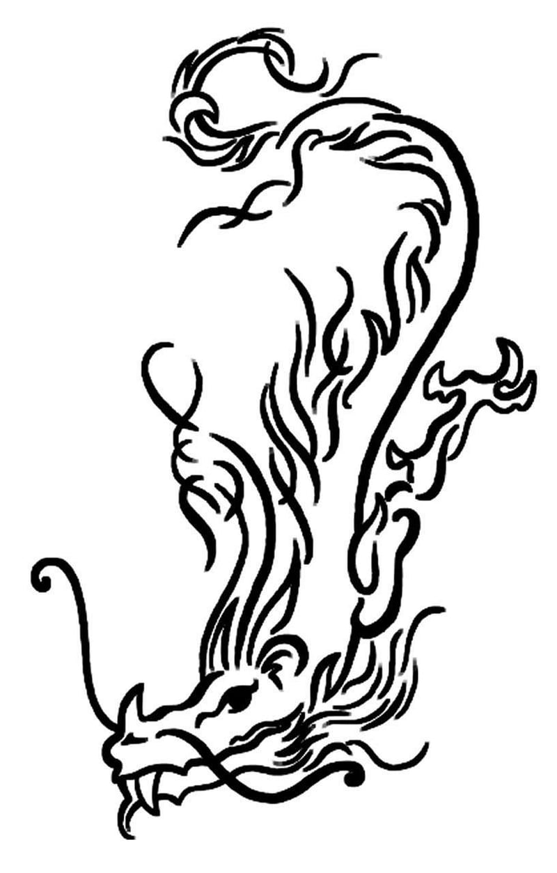 Dragon Costume